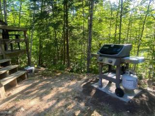 Private Cabin on 1.7 acres w/ Fireplace White Mtns - Intervale - 4