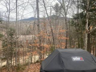 Private Cabin on 1.7 acres w/ Fireplace White Mtns - Intervale - 3