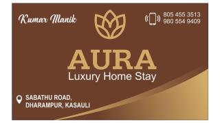 Aura homestay villa - Kasauli - 7