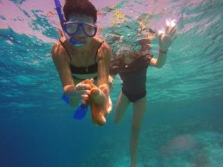 Kaafu Inn Guraidhoo - 4