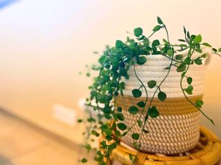 *Le Royal*Havre De Paix*Wifi* - 1