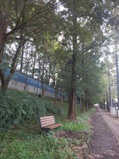 Esther Queen House - Gwangju - 5