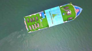 Sunnight Home - Garden sky view - 1