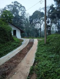 Creek Side - Madikeri - 9