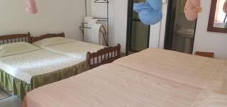 Hotel Shalini - 9
