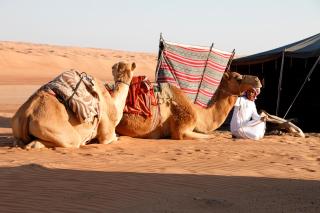 Private Camel Safari Camp - 5