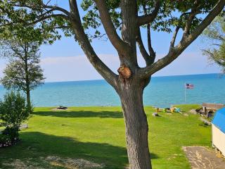 Tree-Top Lake-Front Cottage - Madison - 8