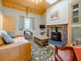 Maesyrhaf - Llanllwchaiarn - 9