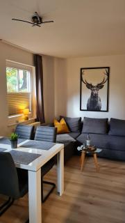 Ferienwohnung Braunlage - gemütliche Auszeit - Braunlage - 8