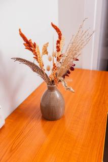 Apartman Kalvarija - Belgrado - 4