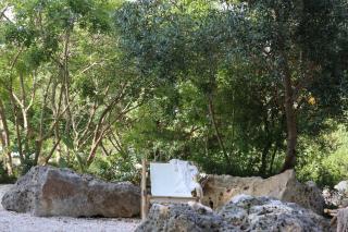 Trullo Sophie in Valle D'Itria SPA - Ceglie Messapica - 3