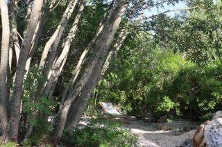 Trullo Sophie in Valle D'Itria SPA - Ceglie Messapica - 5