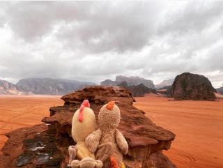 Wade rum natural - 4