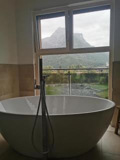 Steinberg Blick - 1