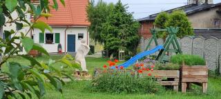 Daniel OWO Noclegi - 5