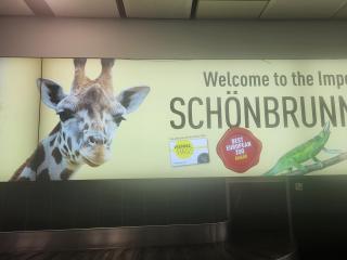 Feel home Winterwonderland Schönbrunn U3 U4 Haustiere City - 8