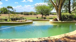 Tchagra House - Hluhluwe - 9