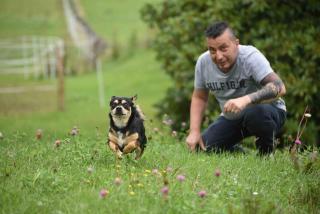 FeWoMonCIAO2019-Panorama 2Pers bis max4Pers - 5