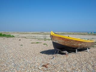 Sea Pearl - 6