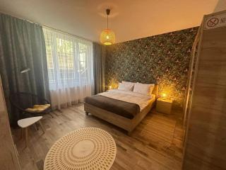 NewLevel Studio Brasov - Braşov - 0