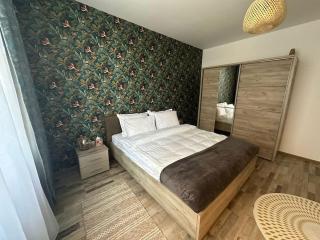 NewLevel Studio Brasov - Braşov - 1