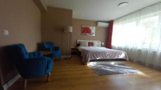 4 Seasons Apartments - Bistriţa - 4