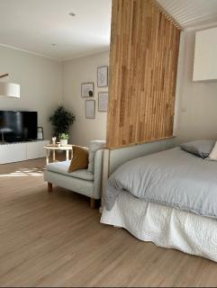 Studio hyper centre de castres - Castres - 1