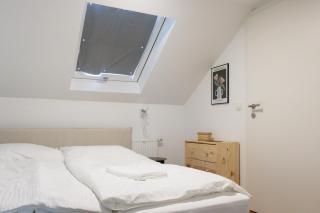 City Apartments Dornbirn Gemütliches Apartment im Stadtzentrum Dornbirn, Kopenhagen 5 - Dornbirn - 1