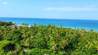 Mirador Techo Verde - 5