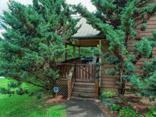 Smoky Mountain Getaway cabin - Cosby - 3