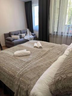Cozy Riverside Pine Studio E5 - Borovets - 7