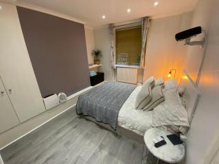 Central 1bedroom Apartment, connected via underground, overground and many bus routes - London - 9