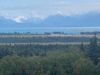 Apartment, walkout basement, Central Homer, Views! - 5