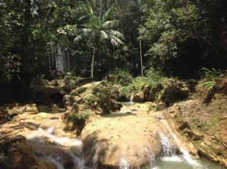 Joli appartement avec vue sur la piscine - 3