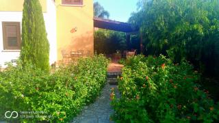 ViViHolidays - 4