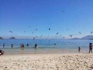 Studio Arte e Natureza - 3