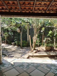 Studio Arte e Natureza - 5