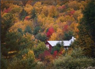 The Tannery House - 3