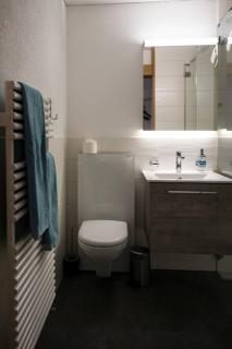 Moderne 2-Zimmer-Wohnung in Albinen mit Aussicht - Albinen - 5