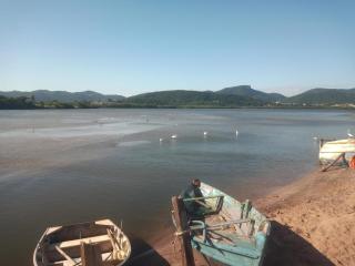 Studio Arte e Natureza - 1