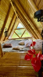 Glamping La Herradura - 9