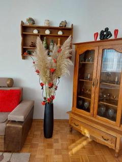 Apartman OMANOVIĆ - Bihać - 4