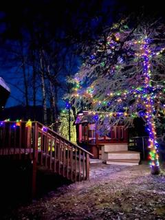 Hot Tub Stunning Mountain Views 2 kitchens 4 bedroom 2 bathroom - Anchorage - 1