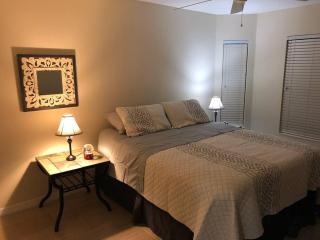Golfer’s Paradise 3/2 Luxury Vacation Home - Bradenton - 3
