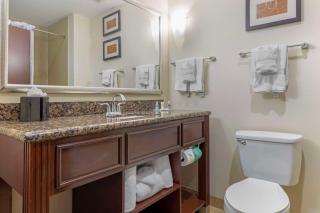 Comfort Suites West Dallas - Cockrell Hill - 7