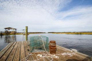 Crabbin Cabin - Spacious, Seasonal Riverside Home On The Ga Coast - Midway - 5