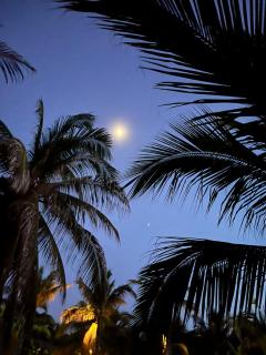 Blue House - Puerto Escondido - 0