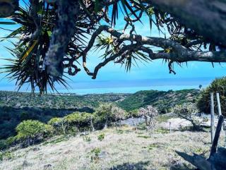 Résidence Véronia - Rodrigues Island - 4