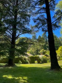 Ard Choille Cottages - Mount Macedon - 4