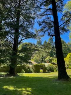 Ard Choille Cottages - Mount Macedon - 5